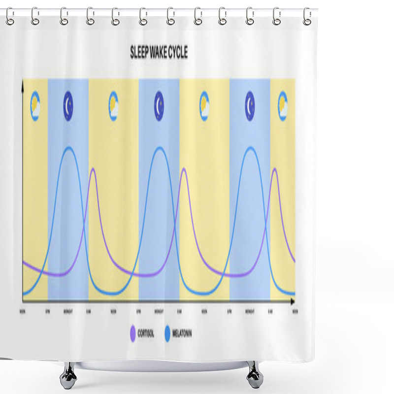 Personality  Circadian Rhythm Infographic Poster. Melatonin And Cortisol Are Produced In Human Brain. Colorful Diagram Of Circadian Cycle. Night Day Life Balance. Sleep Wake Cycle Chart Flat Vector Illustration. Shower Curtains