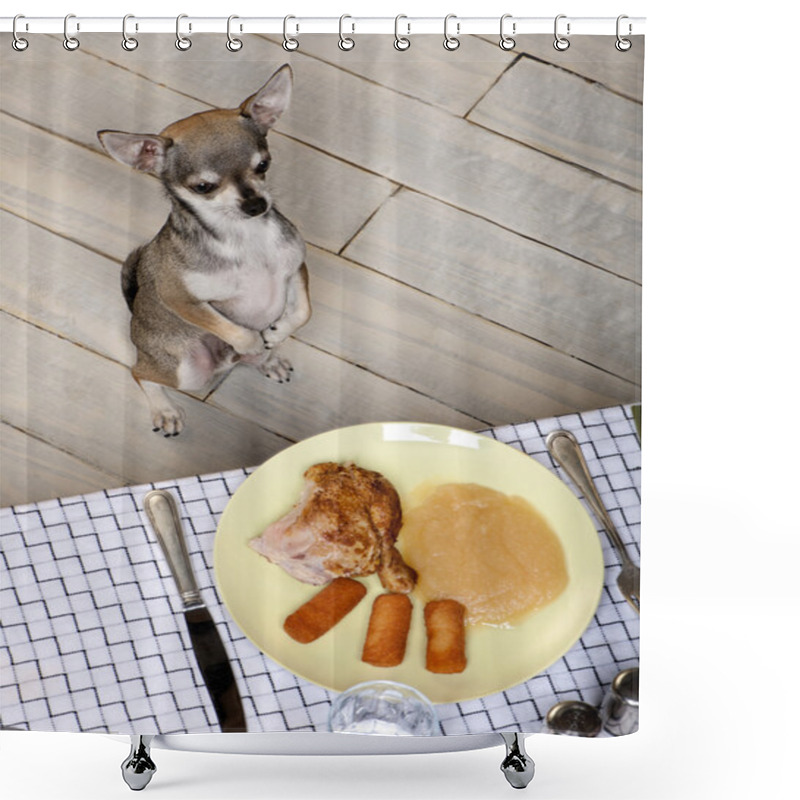 Personality  Chihuahua Licking Lips And Looking At Food On Plate At Dinner Table Shower Curtains