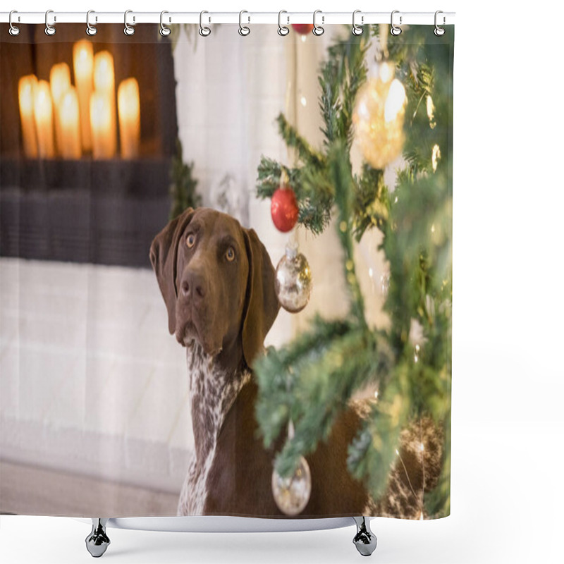 Personality  Dog Looking Up Under The Christmas Tree Shower Curtains