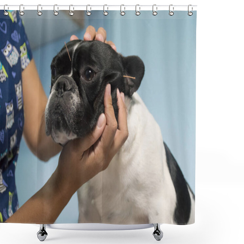 Personality  Acupuncture In Pets Shower Curtains