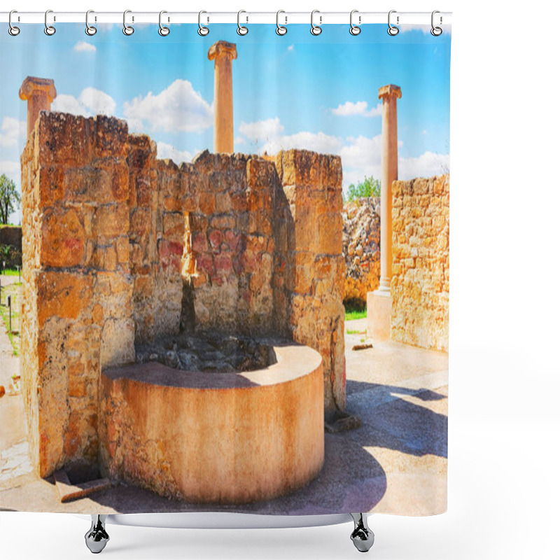 Personality  Drinking Bowl At Villa Romana Del Casale In Piazza Armerina Shower Curtains