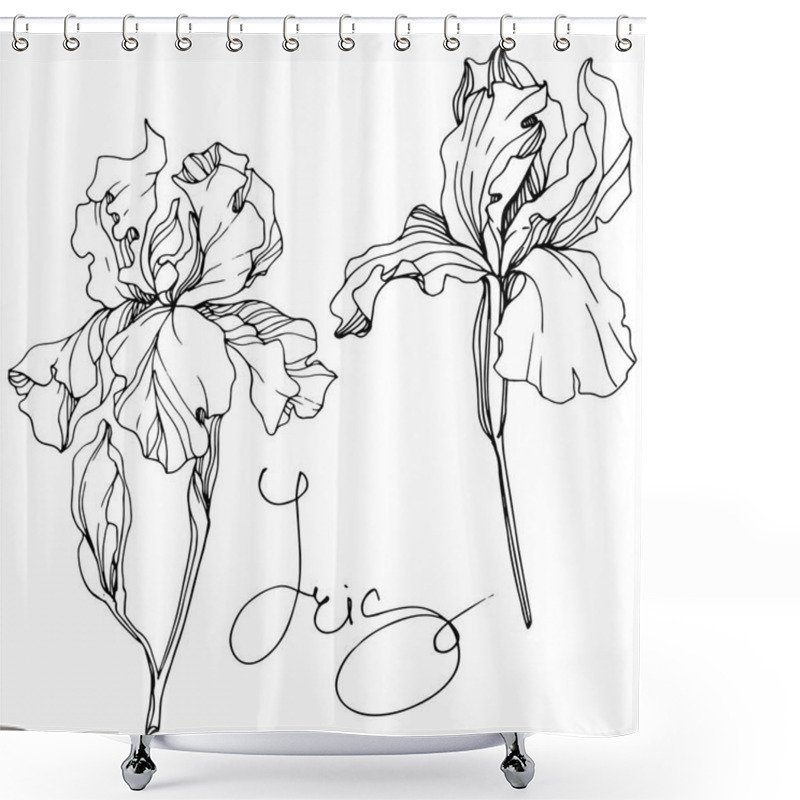 Personality  Vector Iris Floral Botanical Flower. Wild Spring Leaf Wildflower Isolated. Black And White Engraved Ink Art. Isolated Iris Illustration Element. Shower Curtains