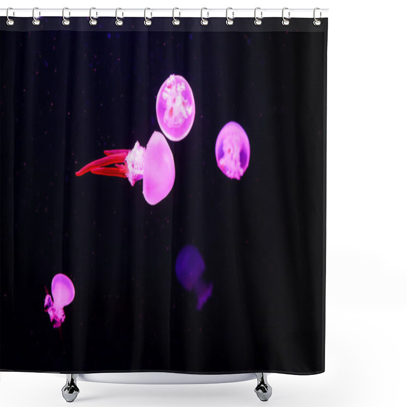 Personality  Beautiful Jellyfish, Medusa In The Neon Light With The Fishes. Underwater Life In Ocean Jellyfish. Exciting And Cosmic Sight Shower Curtains