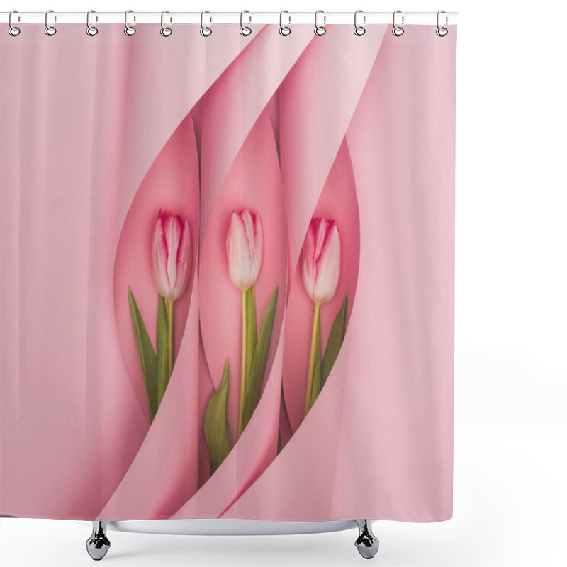 Personality  Top View Of Tulips In Paper Swirls On Pink Background Shower Curtains