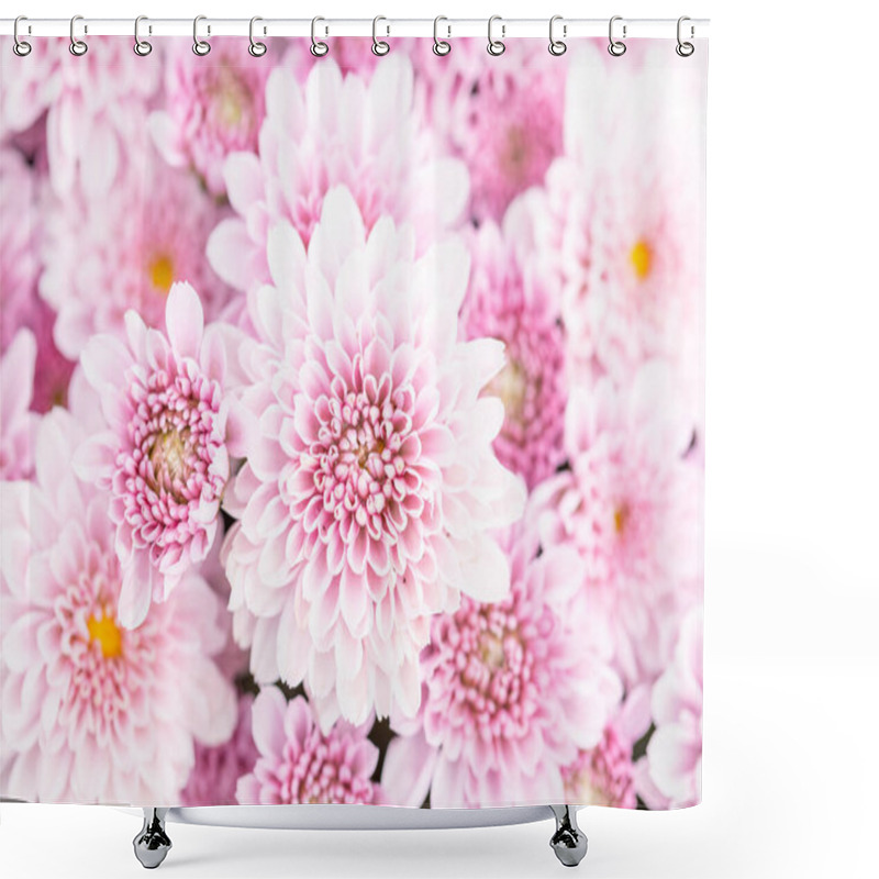 Personality  Beautiful Chrysanthemum Flower In Garden For Backdrop Use Shower Curtains