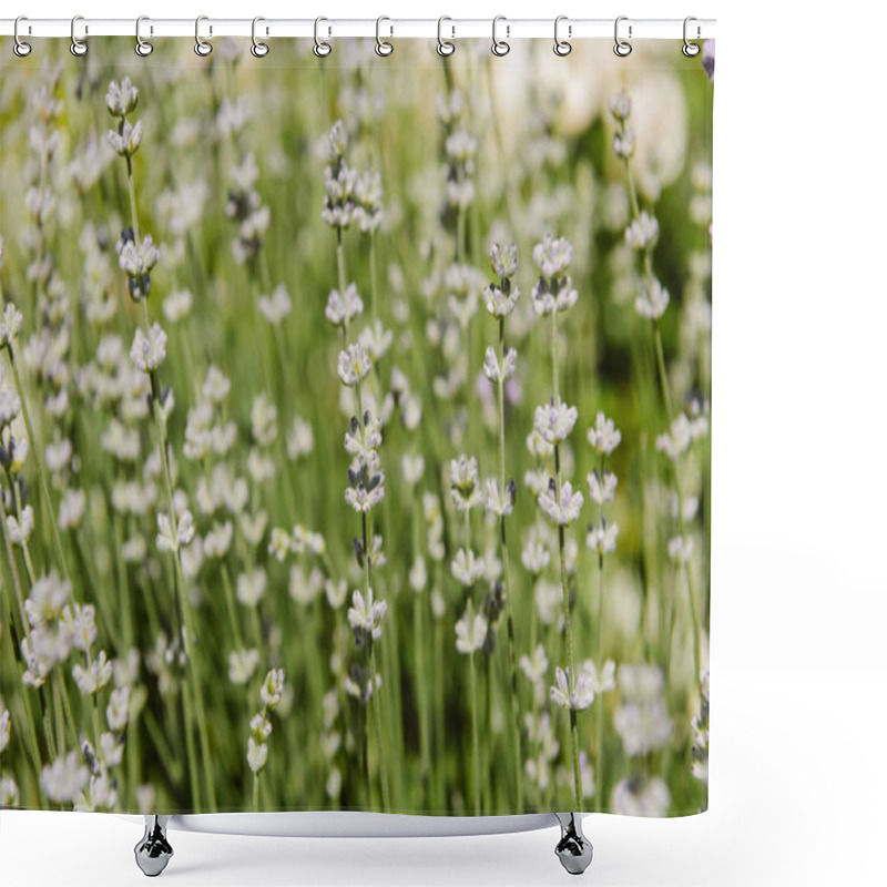 Personality  Selective Focus Of Flowers On Blurred Background  Shower Curtains