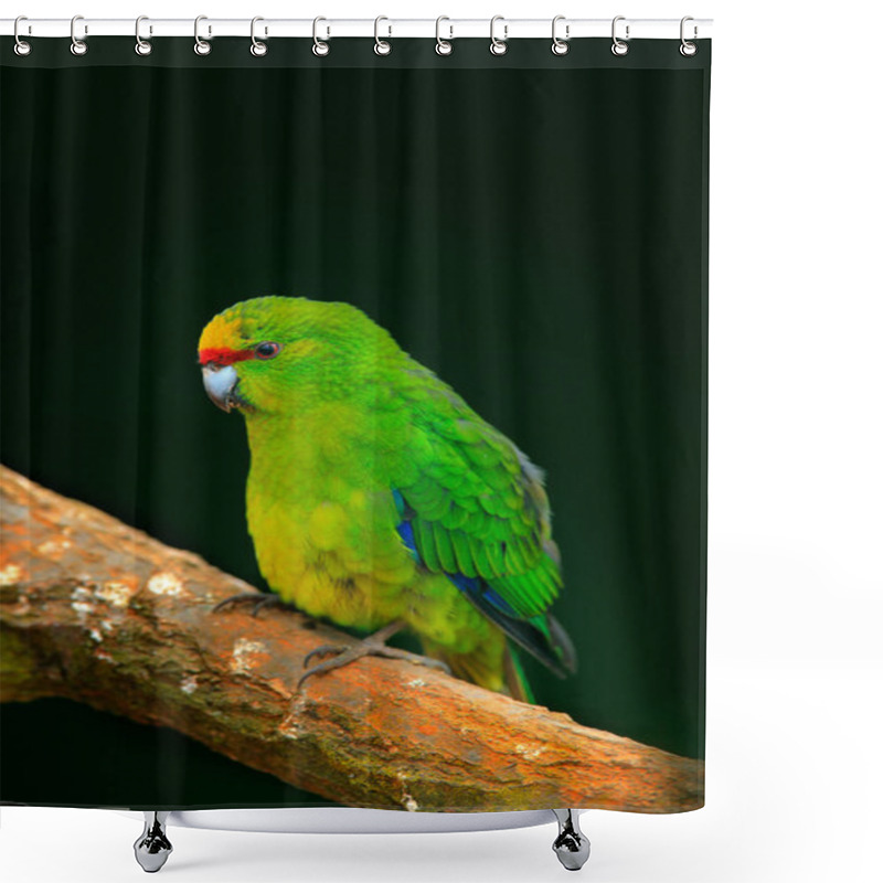 Personality  Green Parrot Amazona Bird Shower Curtains