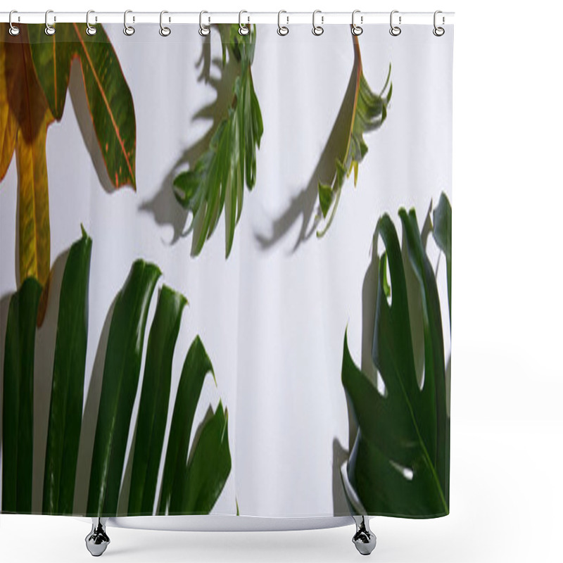 Personality  Panoramic Shot Of Fresh Tropical Green Leaves On White Background With Shadow Shower Curtains