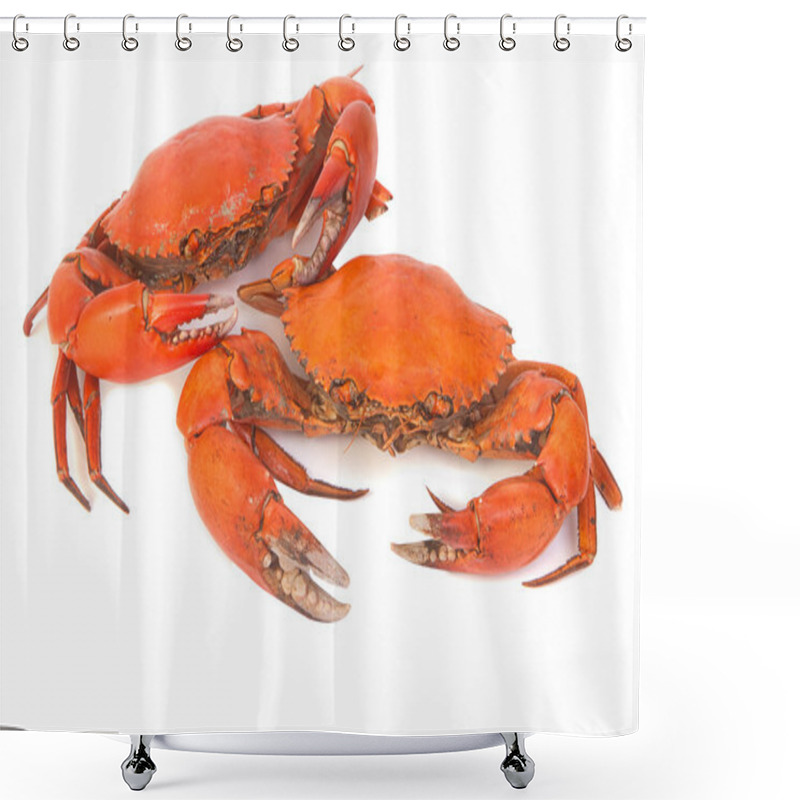 Personality  Cooked Whole Dungeness Crab Shower Curtains