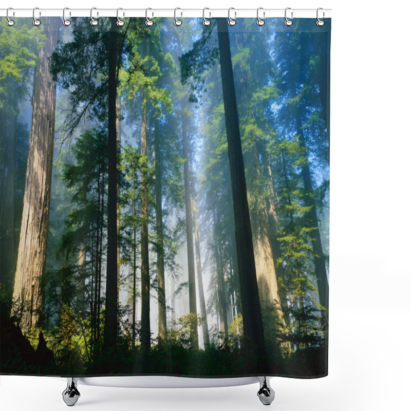 Personality  Nature Landscape View Shower Curtains