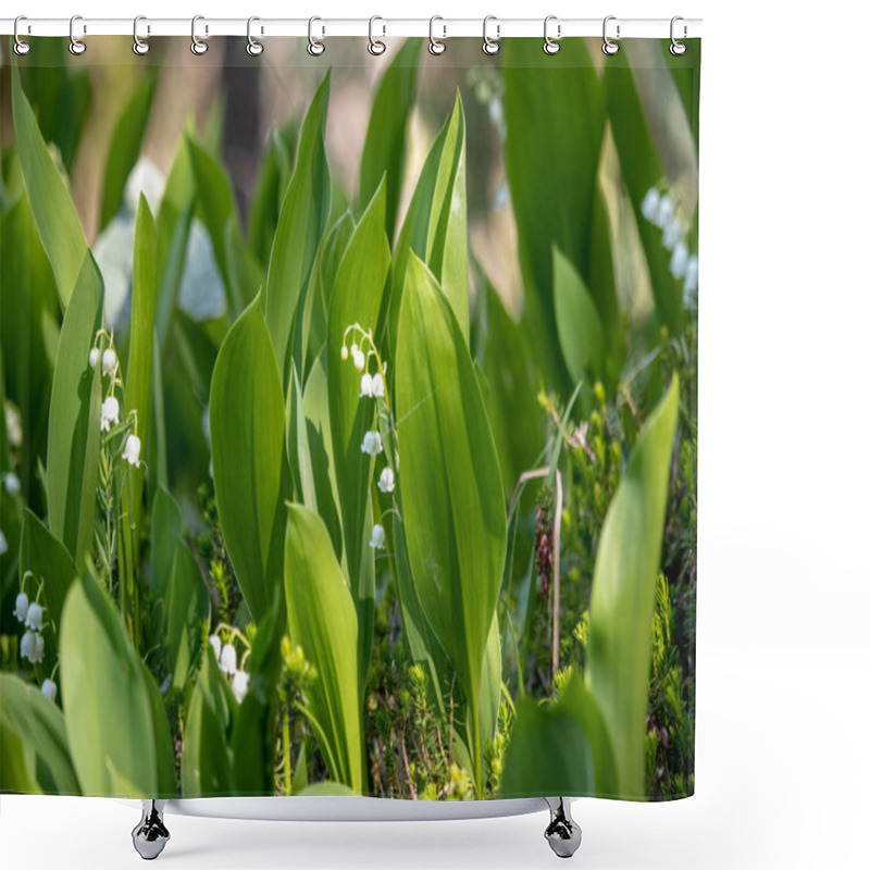 Personality  View Of Lily Of The Valley In The Swiss Alps Shower Curtains