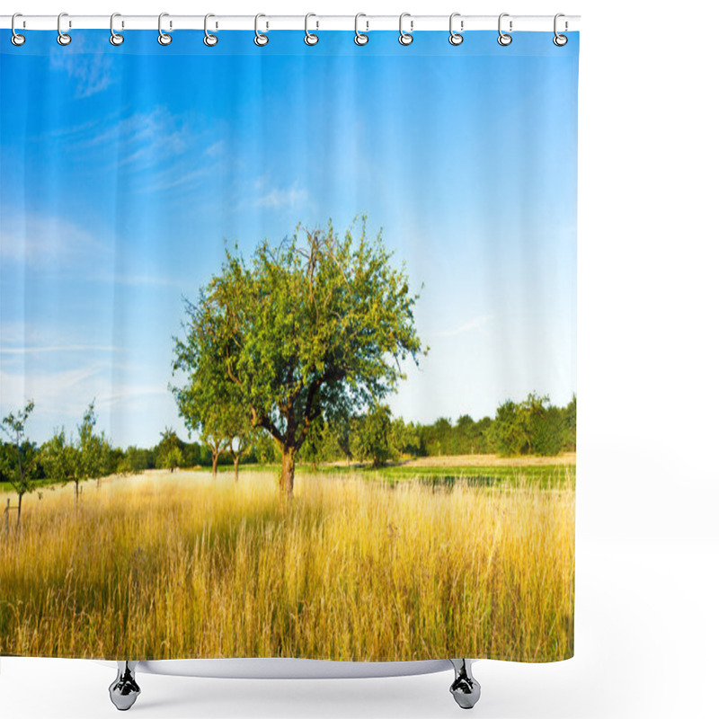 Personality  Beautiful Typical Speierling Apple Tree In Meadow For The German Shower Curtains