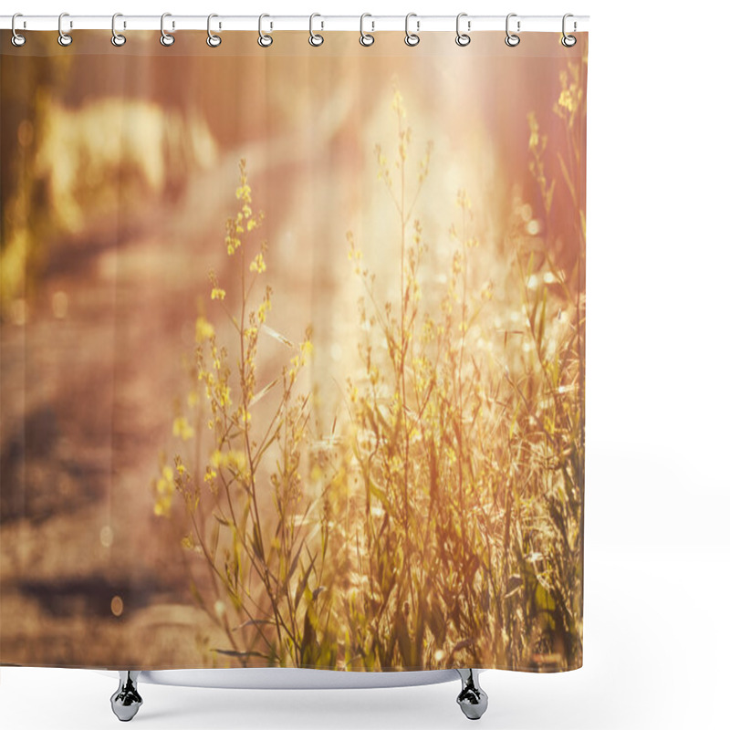 Personality  Summer Background, Country Road At Sunset, Grass In Backlight Shower Curtains