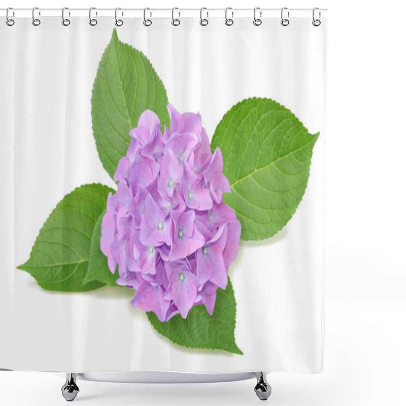 Personality  Hydrangea Shower Curtains