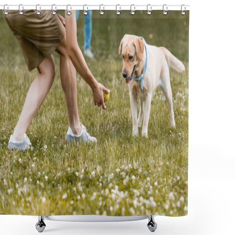 Personality  Cropped View Of Teenager Boy Holding Ball Near Dog In Park  Shower Curtains