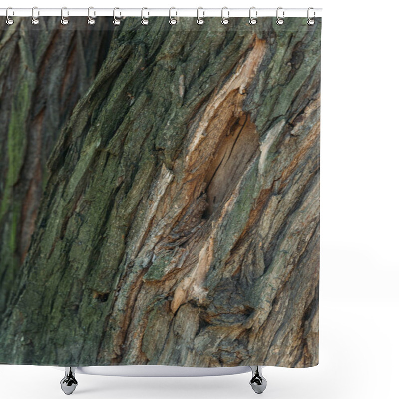 Personality  Cracked Rough Tree Bark Background Shower Curtains