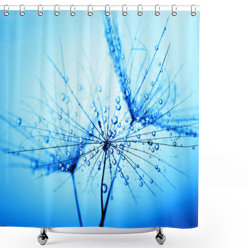 Personality   Dandelion Seeds  Shower Curtains