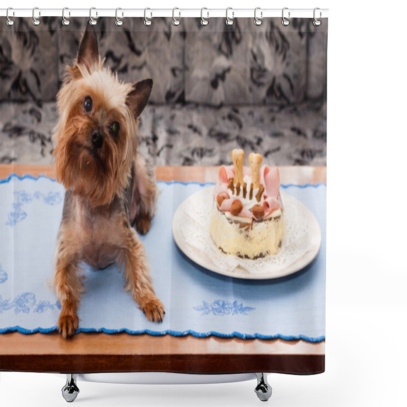 Personality  Yorkshire Terrier Birthdays Shower Curtains