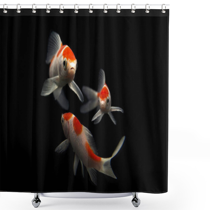 Personality  Butterfly Koi Fish Long Tail Isolated On Black . Shower Curtains