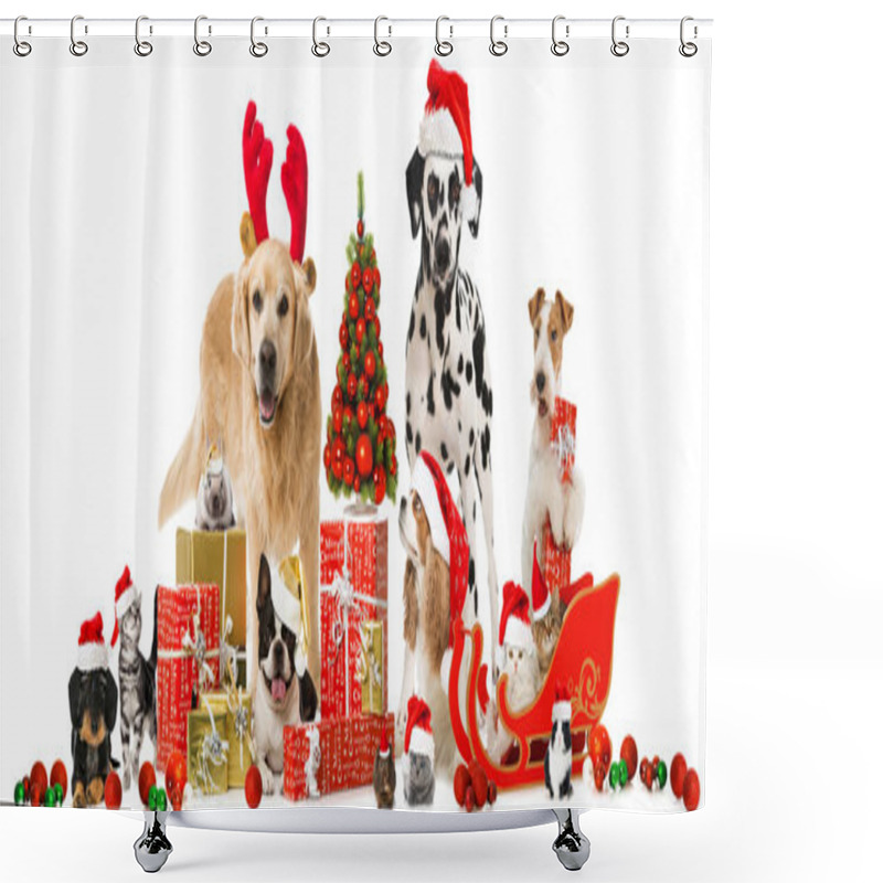 Personality  Christmas Pets Isolated On White Background Shower Curtains