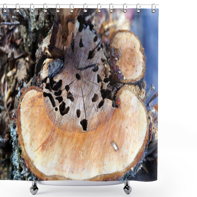 Personality  Dead Tree Shower Curtains