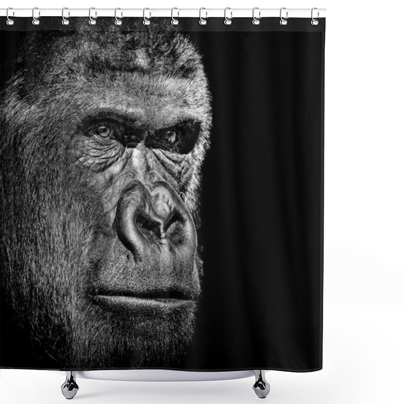 Personality  Gorilla Portrait Shower Curtains