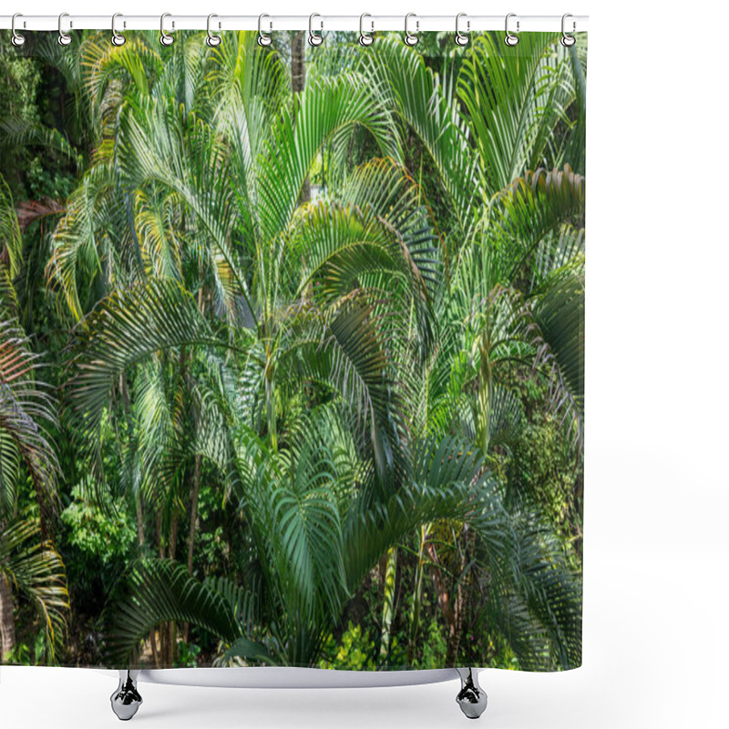 Personality  Wild Palm Leaf Garden, Close Up View Shower Curtains