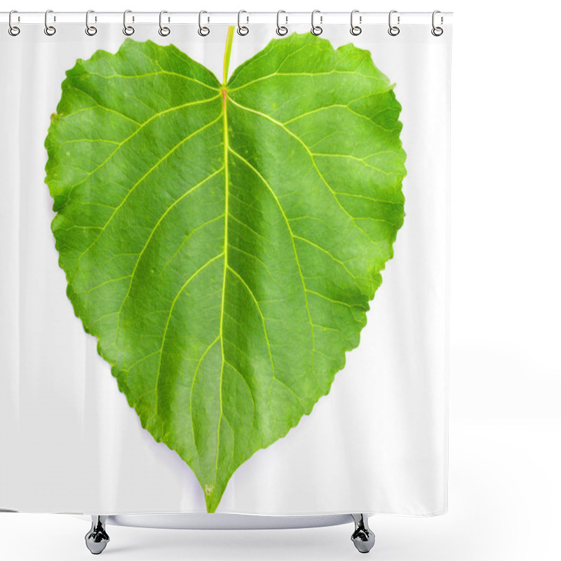 Personality  Green Heart Shaped Leaf Shower Curtains