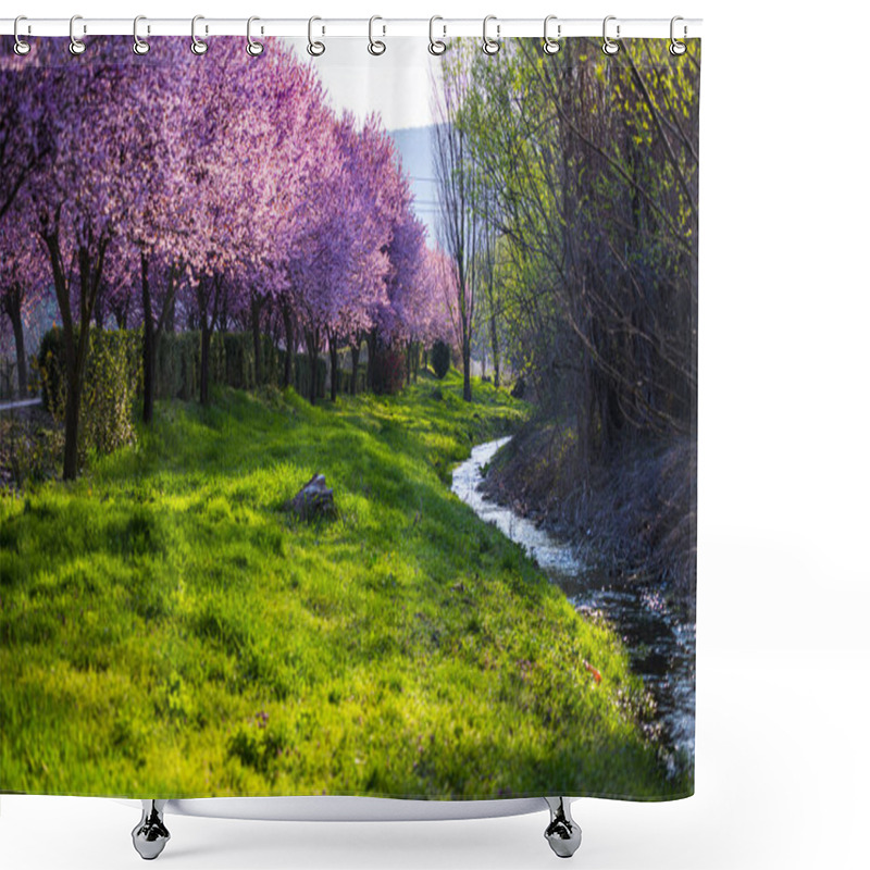 Personality  Garden With Blooming Sakura Trees In Spring Shower Curtains