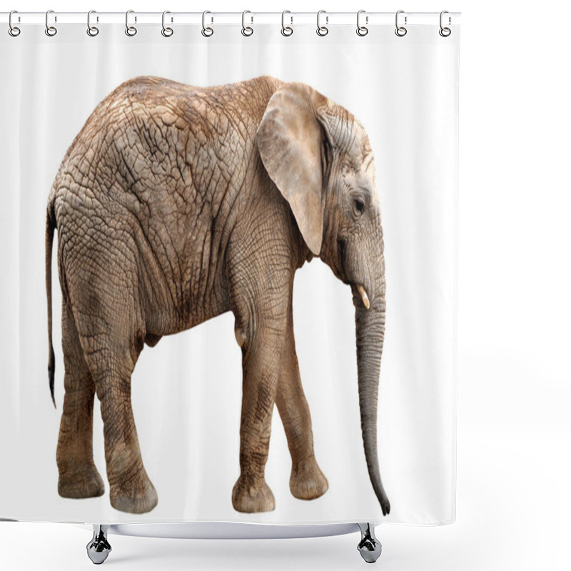 Personality  Elephant Shower Curtains