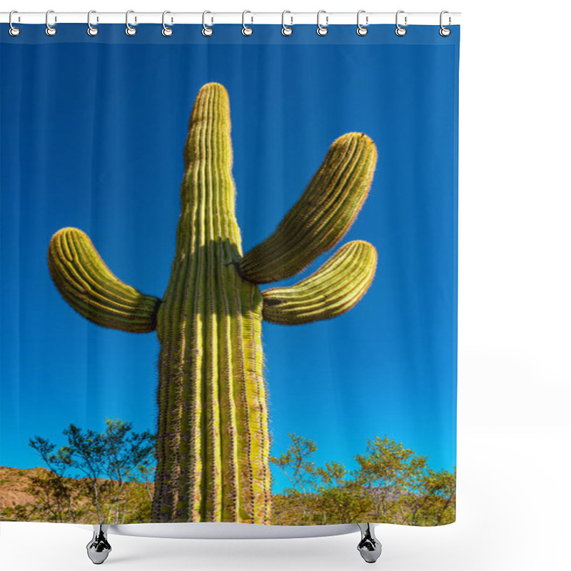 Personality  Medium Shot, Giant Cactus Saguaro Cactus (Carnegiea Gigantea) Against The Blue Sky, Arizona USA Shower Curtains