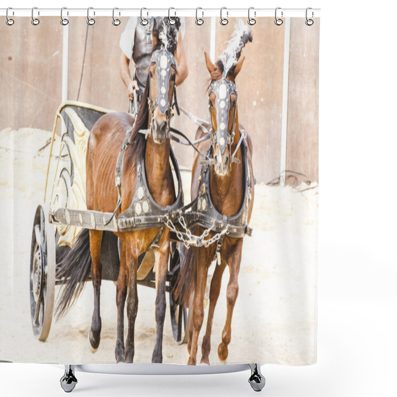 Personality  Roman Chariot On Gladiators Fight Shower Curtains