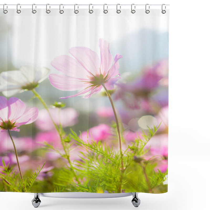 Personality  Beautiful Cosmos Flowers Shower Curtains