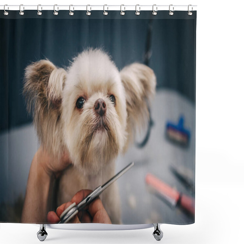 Personality  Grooming A Dog In A Grooming Salon. Animal Care. Shower Curtains