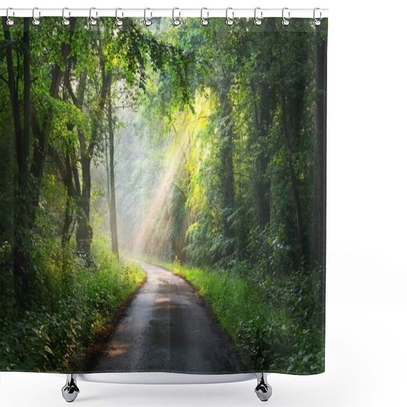 Personality  Forest Road With Sun Rays Shower Curtains