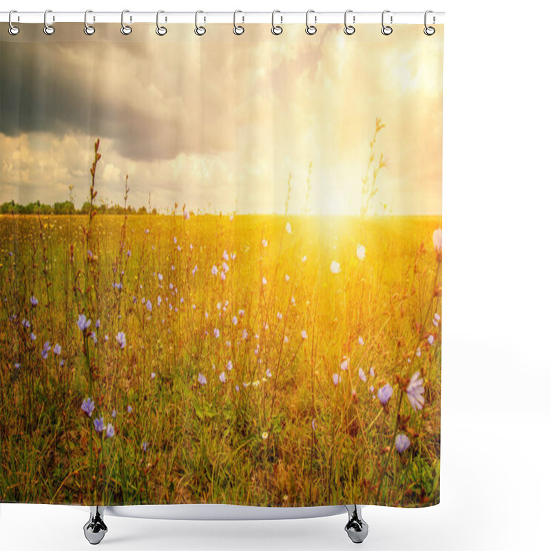 Personality  Field Of Wheat And Sun Shower Curtains