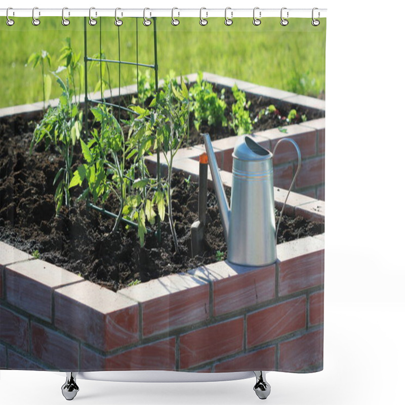 Personality  A Modern Vegetable Garden With Raised Briks Beds With Growing Tomato . Shower Curtains