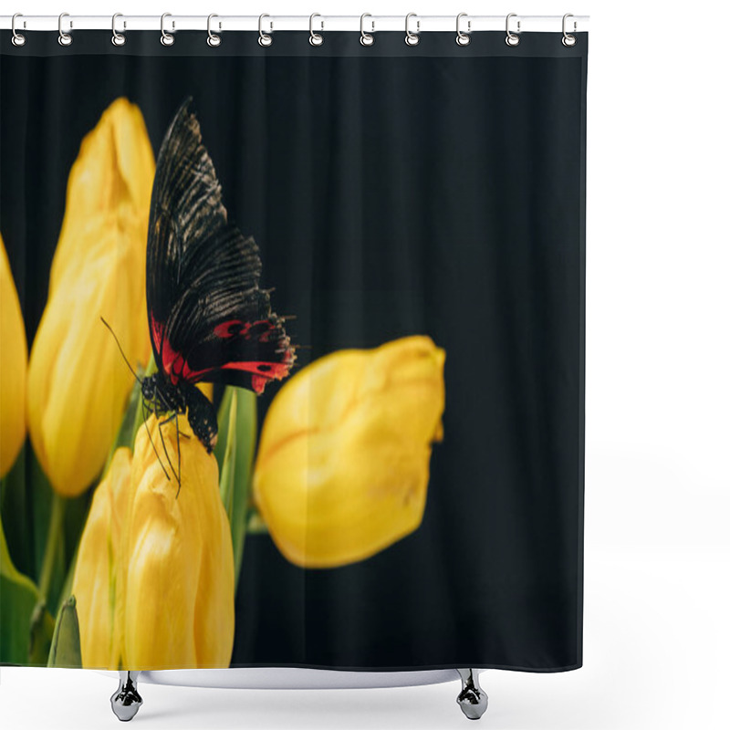 Personality  Close Up View Of Beautiful Butterfly With Yellow Tulips Isolated On Black Shower Curtains