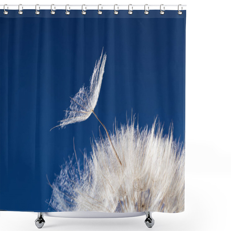 Personality  White Fluffy Dandelion In Sunlight On Blue Background. Bright Sunny Flower With Blowing Seeds Close Up. Beauty In Nature Macro Photo. Shower Curtains