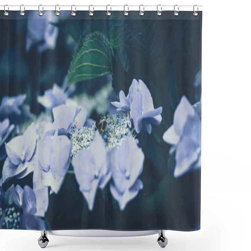 Personality  Wild Bee On The Blossoming Hydrangea Flowers.  Shower Curtains