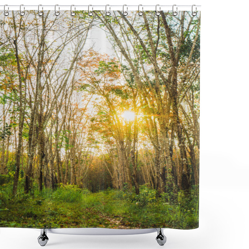 Personality  Green Tropical Forest In Bright Sunlight Shower Curtains