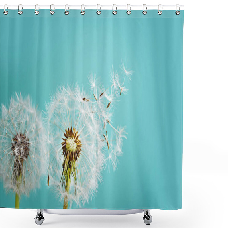 Personality  Dandelions On Dark Background. Freedom To Wish Concept.  Shower Curtains