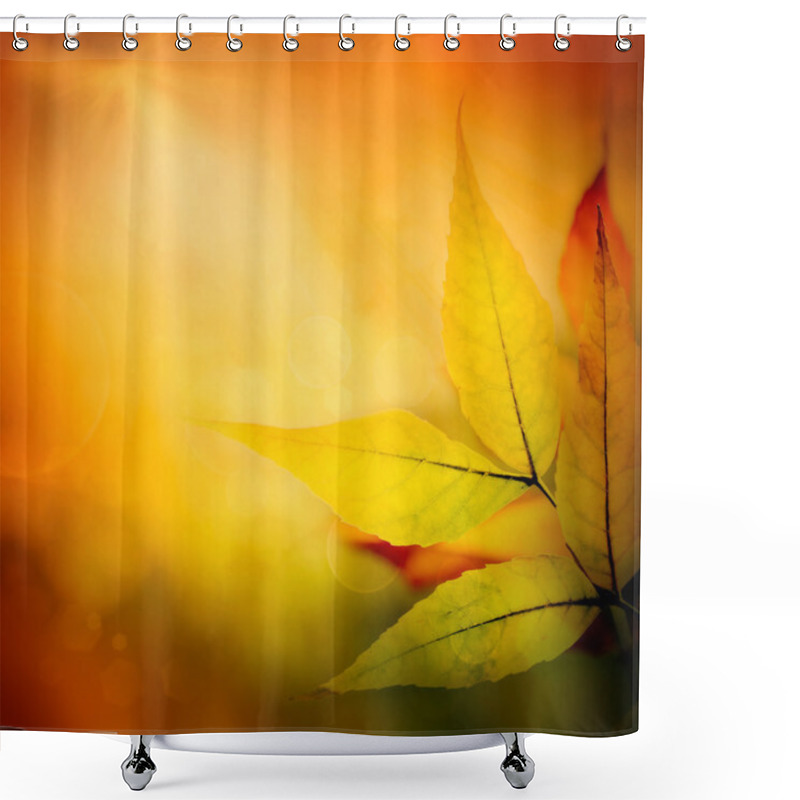 Personality  Autumn Background Shower Curtains