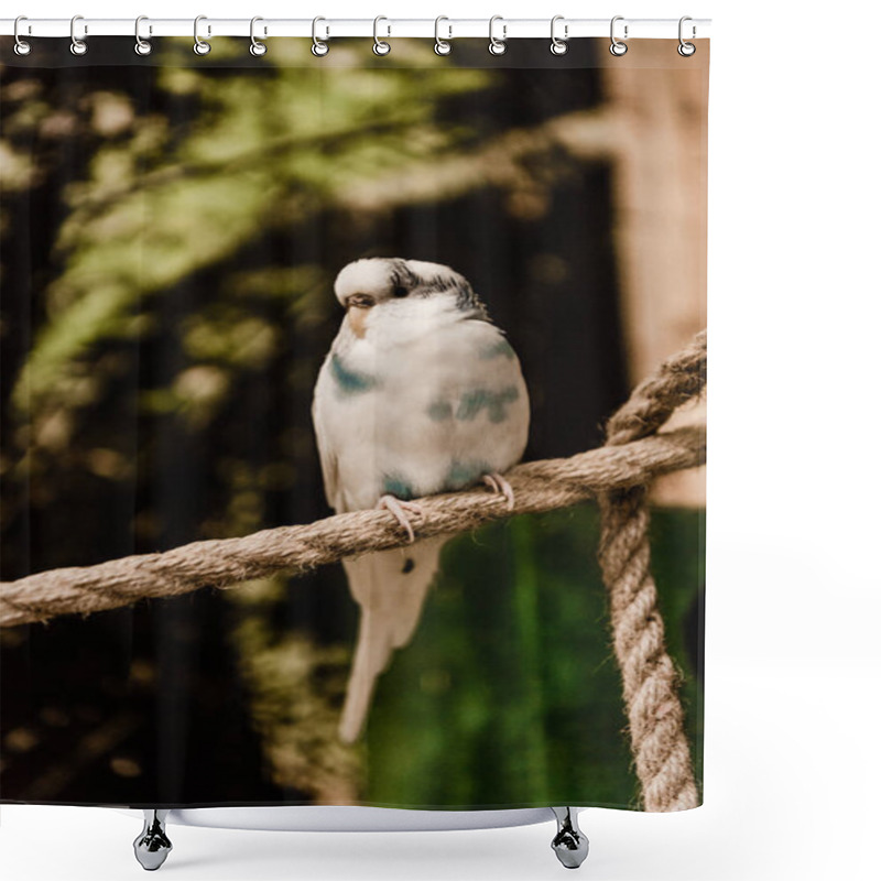 Personality  Selective Focus Of Parrot Sitting On Rope  Shower Curtains