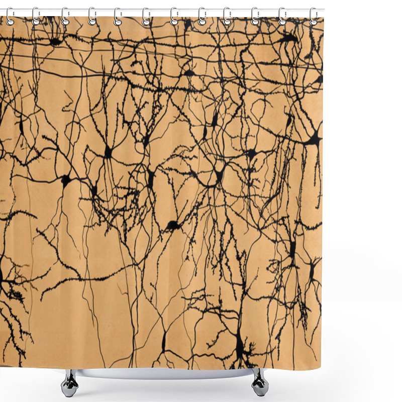 Personality  Neurons Neurons Of The Olfactory Cortex. Illustration Shower Curtains