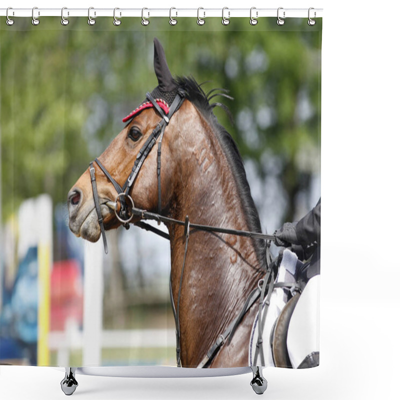 Personality  Head Of A Beautiful Young Sporting Horse During Competition Outdoors. Sport Horse Closeup On Dressage Competition. Equestrian Sport Background Shower Curtains