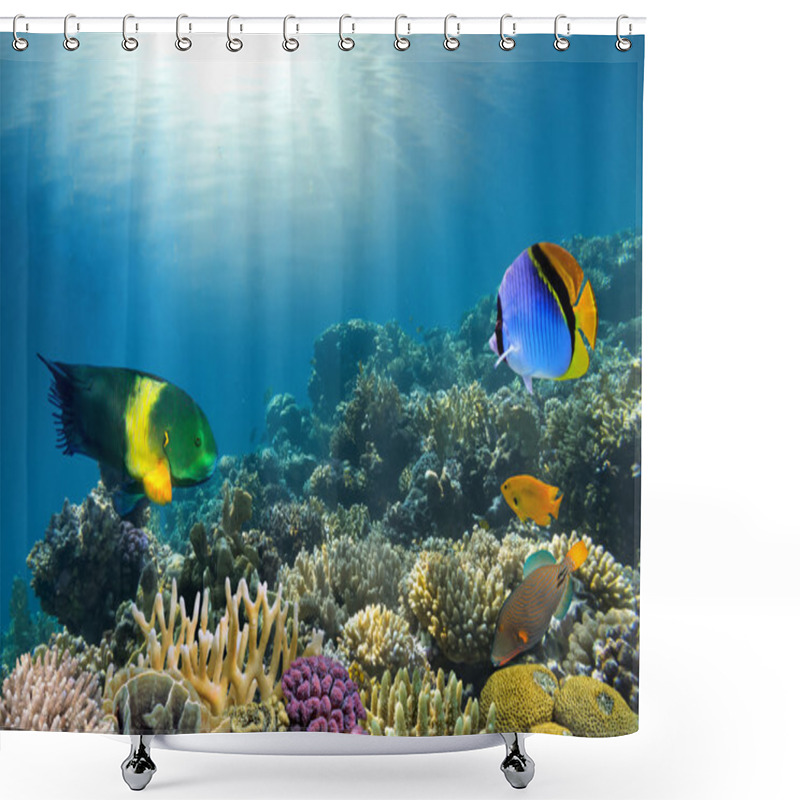 Personality  Photo Of A Coral Colony On A Reef Top Shower Curtains