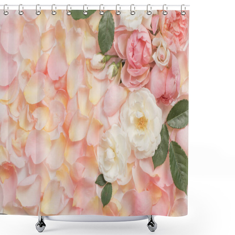 Personality  Rose Flowers And Petals Background Shower Curtains