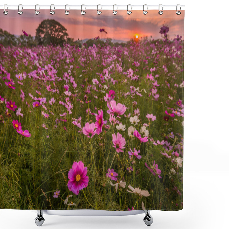 Personality  Cosmos Flowers In Purple, White, Pink And Red, Is Beautiful Suns Shower Curtains