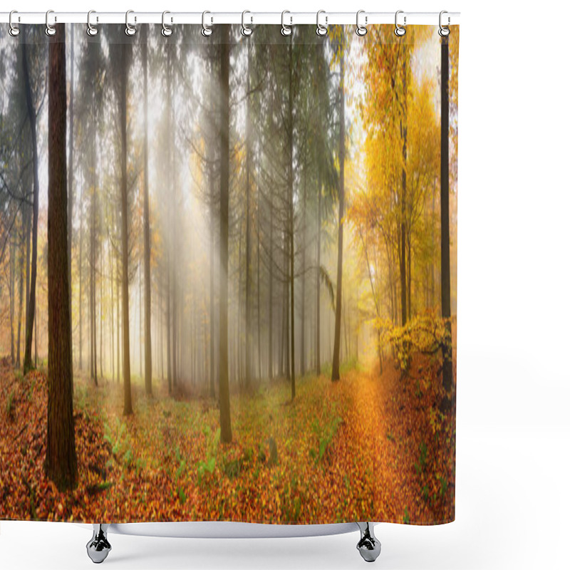 Personality  Misty Autumn Forest With Beautiful Rays Of Soft Light Shower Curtains